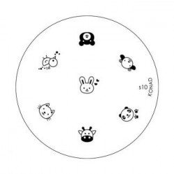 KONAD Печатная форма (диск) S10. SN-IPM-S10 Image PlateS10