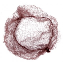 DEWAL Сеточка для прически, т-коричн 2 шт/уп CE104